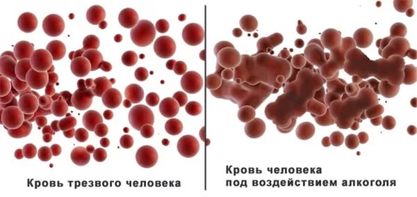 всасывание молекул спирта в кровь