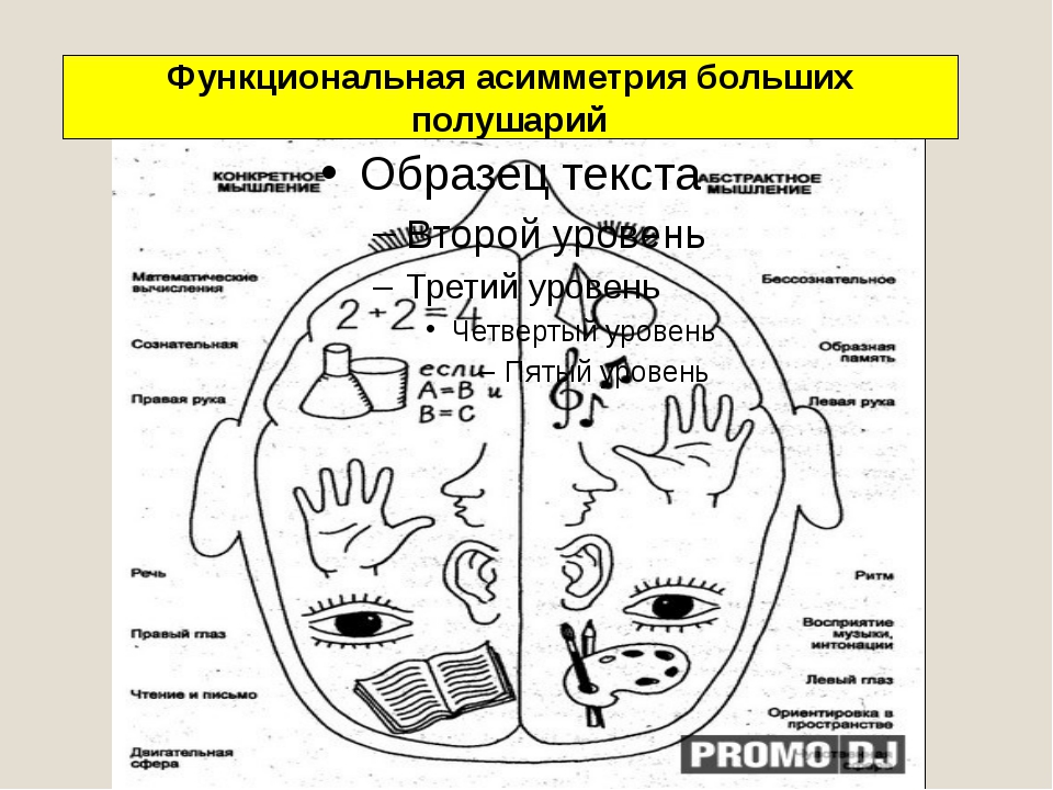 Функциональная асимметрия. Функциональная асимметрия больших полушарий функции. Межполушарная асимметрия мозга схема. Функциональная асимметрия полушарий головного мозга. Функциональная симметрия.