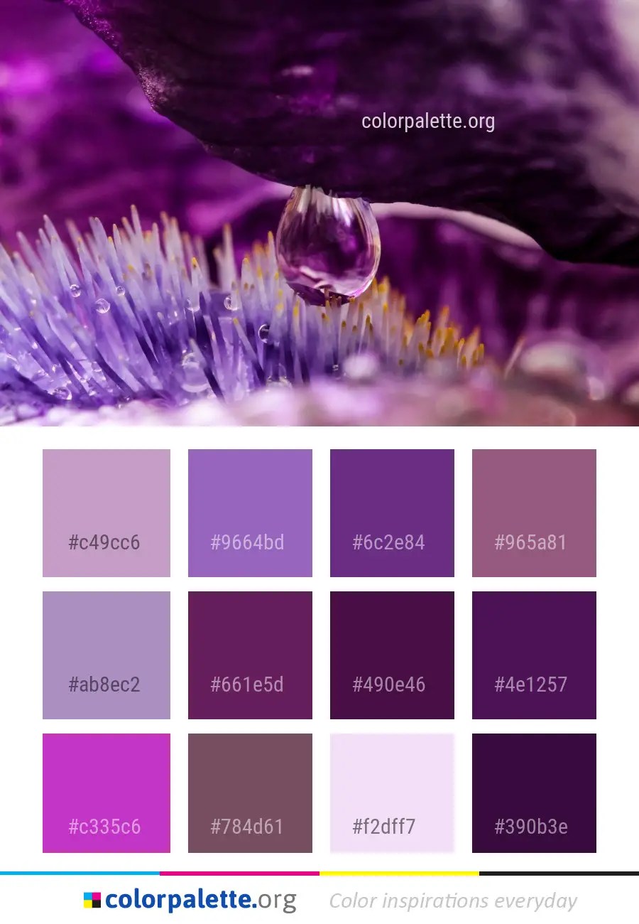 Разница между фиолетовым и сиреневым цветом фото